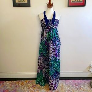 NWOT Beautiful 100% Silk Kas New York Maxi Dress